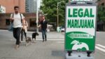 Legal Marijuana